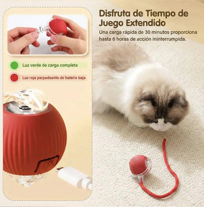 Pelota Interactiva