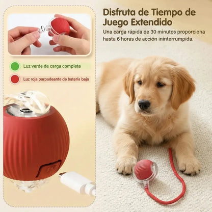 Pelota Interactiva.