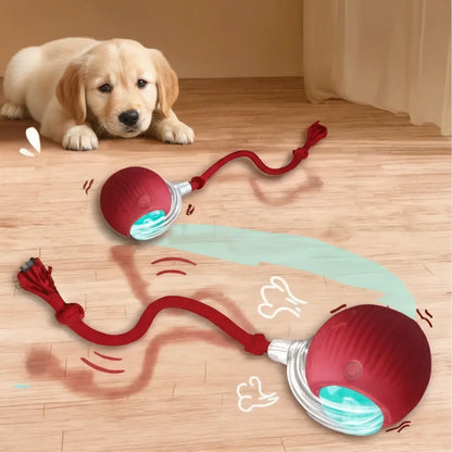 Pelota Interactiva.