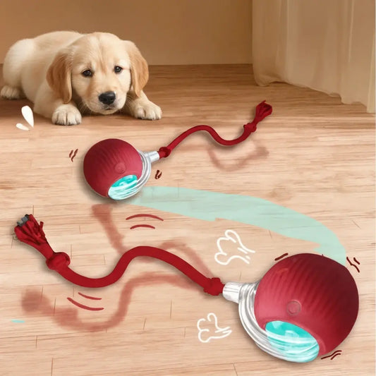 Pelota Interactiva.
