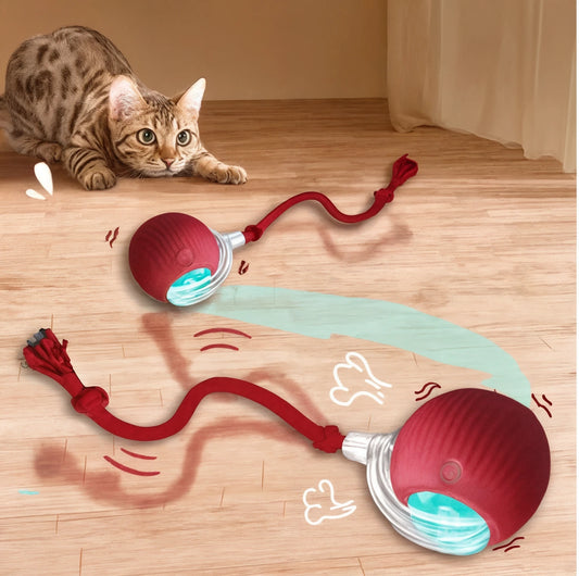 Pelota Interactiva